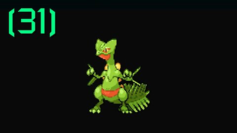 Pokémon Ruby - Walkthrough/Videonávod - 31 - [EN/CZ]