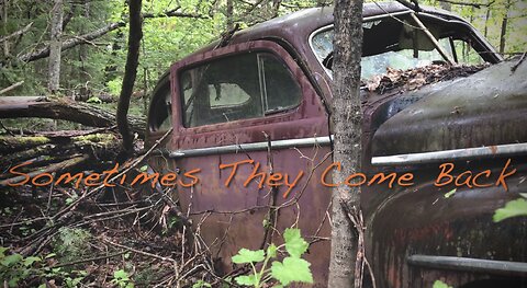 Abandoned 1948 Plymouth Left In The Bush Sometimes They Come Back