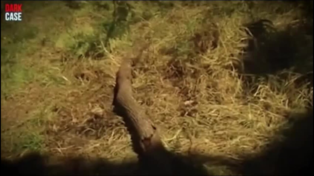 3 Hour True Crime Compilation – But Each Case Is More Disturbing Than The Last