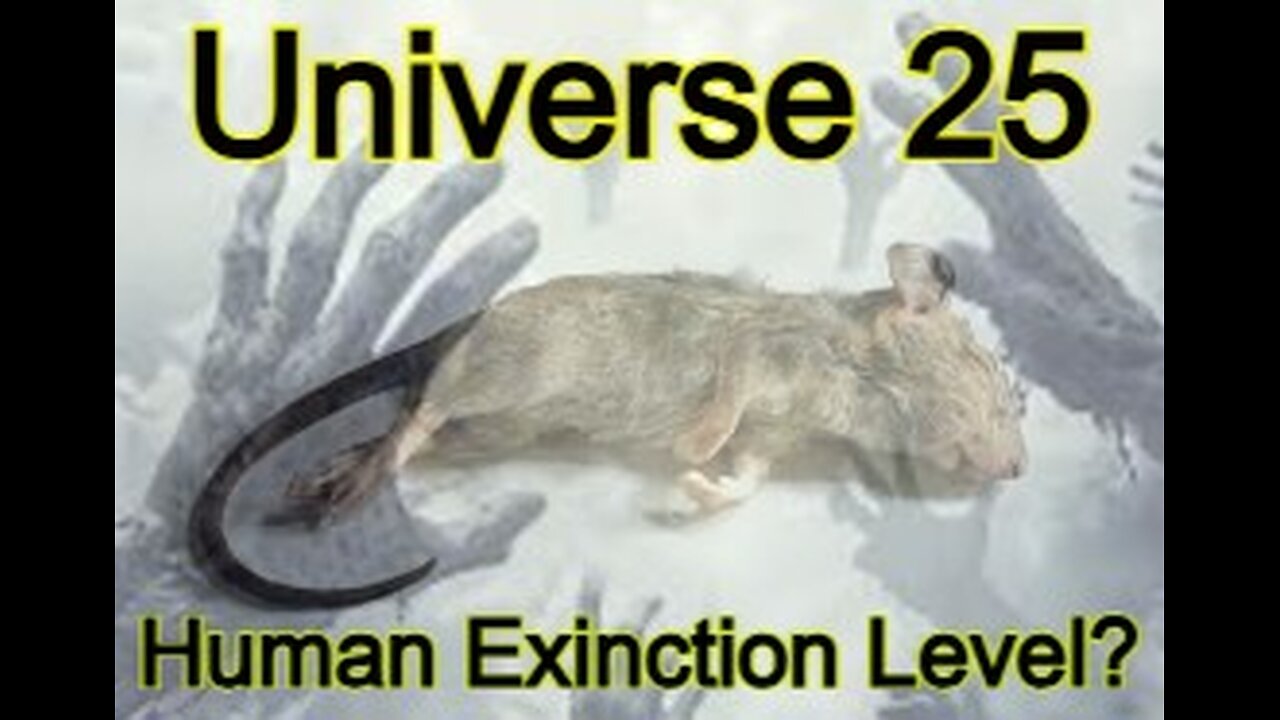 Universe 25