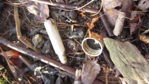 Try to remember to vote against Trump in November by voting blue song