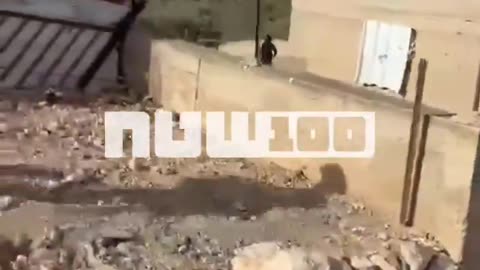 Jews injure 5 Palestinians using live gunfire