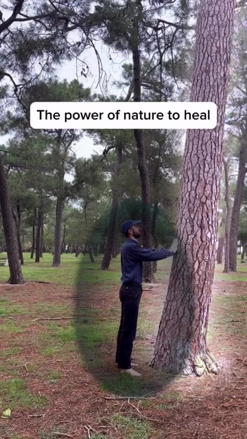 illustrating nature’s power to heal us. 🌍
