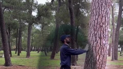 illustrating nature’s power to heal us. 🌍