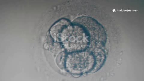 Mitosis- The Epic Story of Cell Division