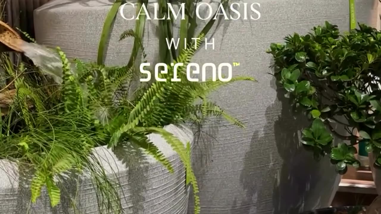 Large Planters – Make a Bold Green Statement