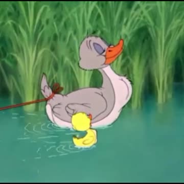 funny funny videos funny jokes funny animals funny memes funny movies funny bone funny pictures