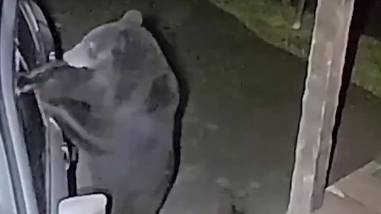 Imagine having to explain this to your insurance with no video