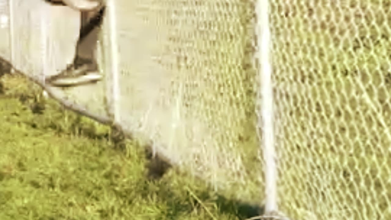 Real-Life Jump Gone Wrong 😂 | Funny Sound Effect Remix
