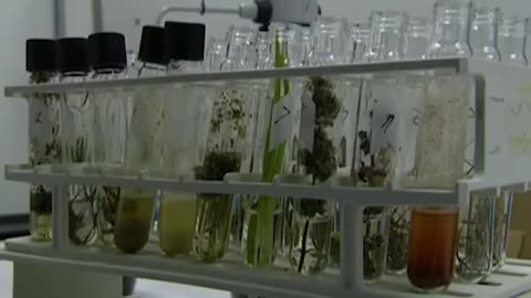 Forensic Files - Season 7, Episode 31 - Sniffing Revenge - Full Episode