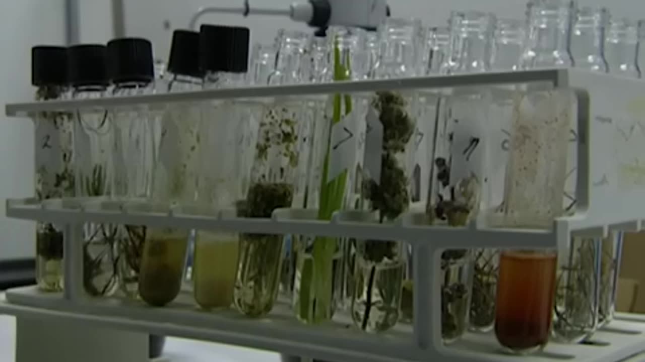 Forensic Files - Season 7, Episode 31 - Sniffing Revenge - Full Episode
