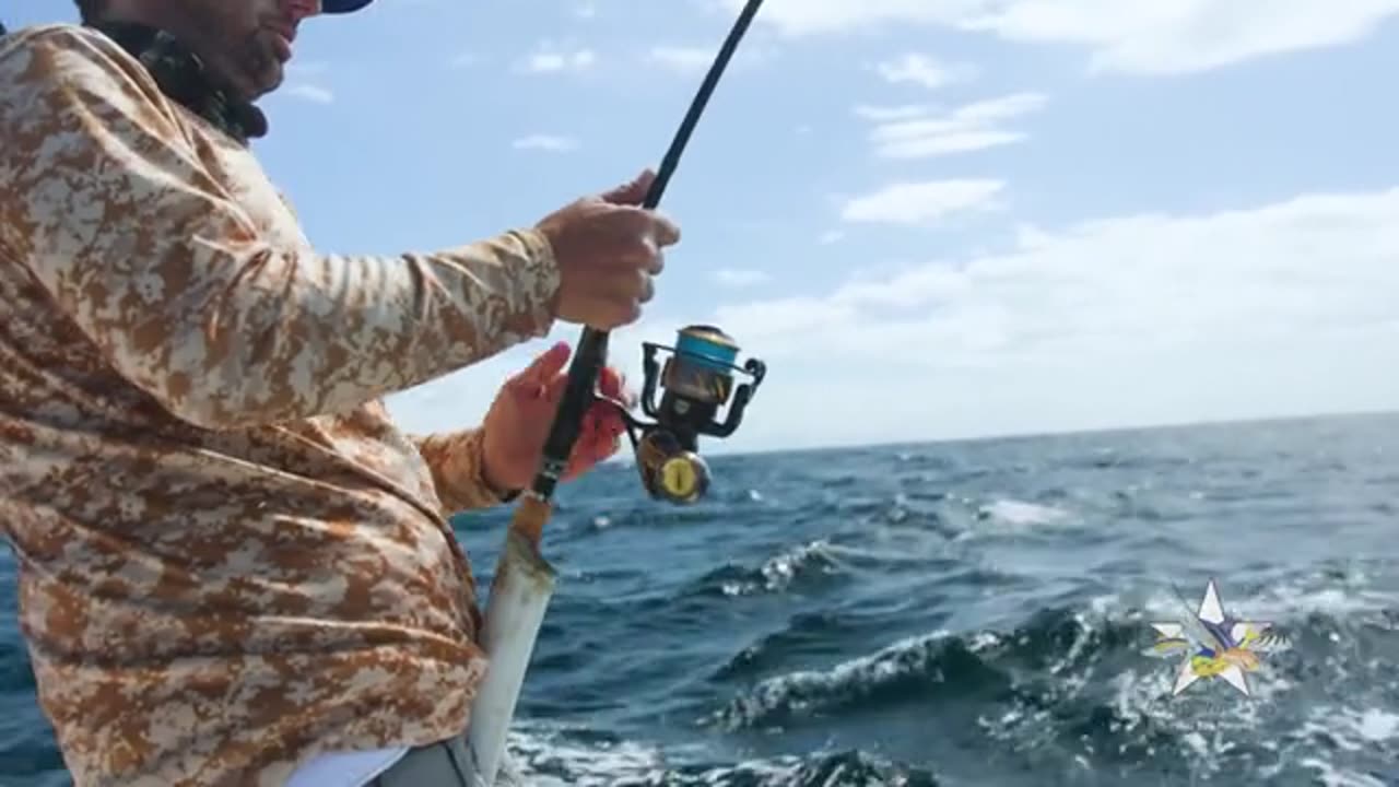 Giant Dolphin Caught using Berkley Gulp + MASSIVE Marlin_part2