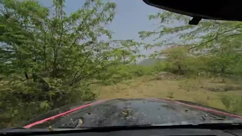 The flying car