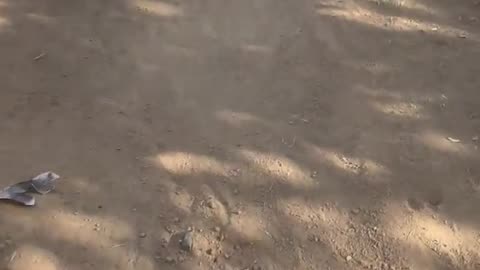 Extreme Mountain Biking Fail