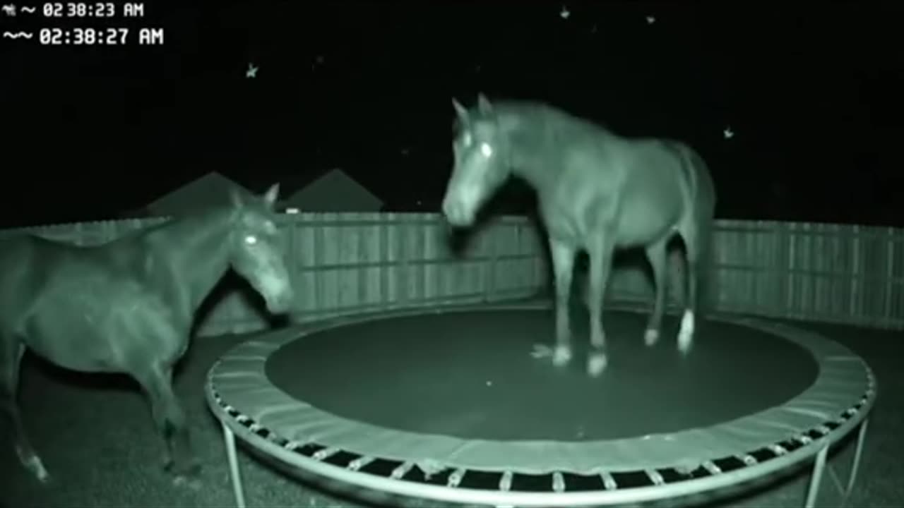 Form good landing not too good 🤣