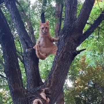 What's going on there?...