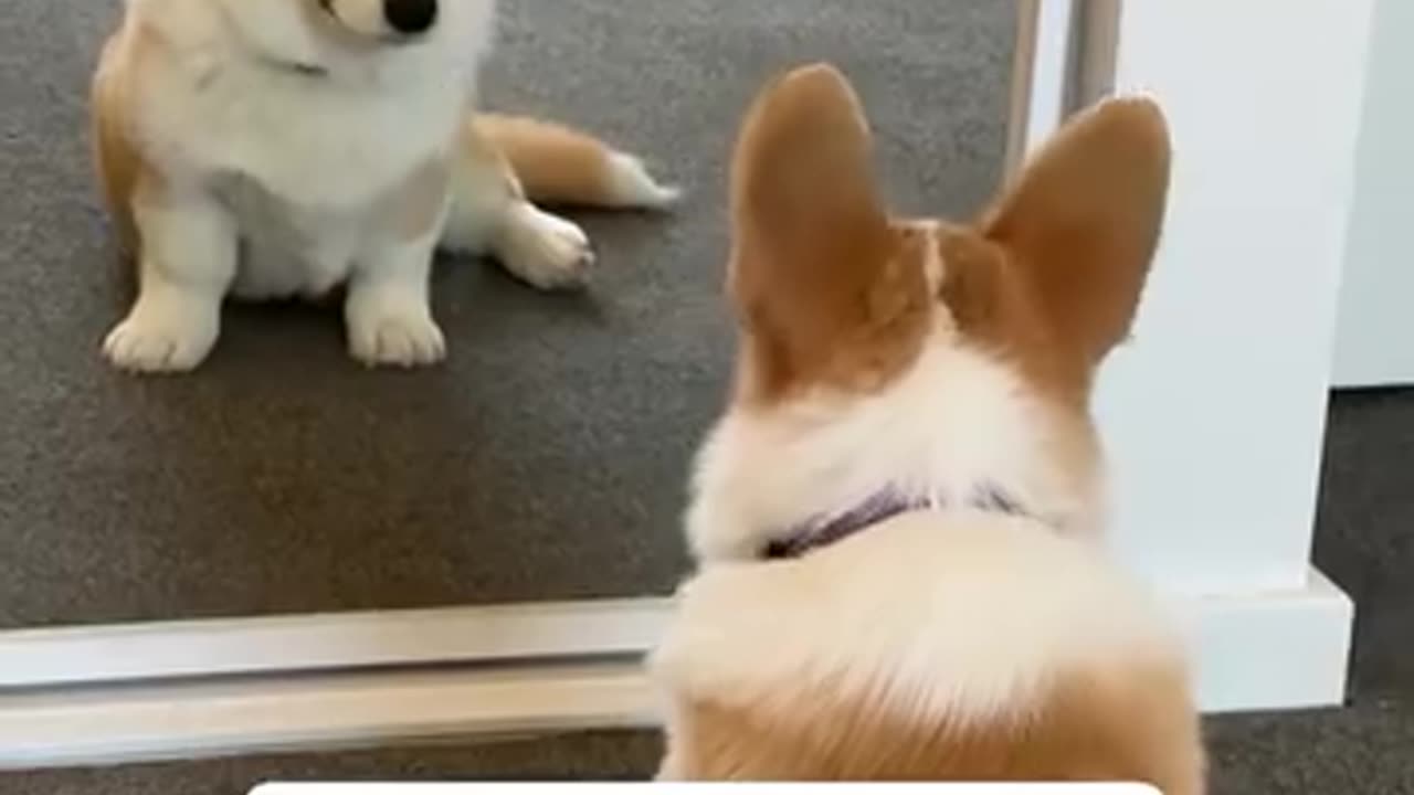 I think he is his own type 😆😆😆
