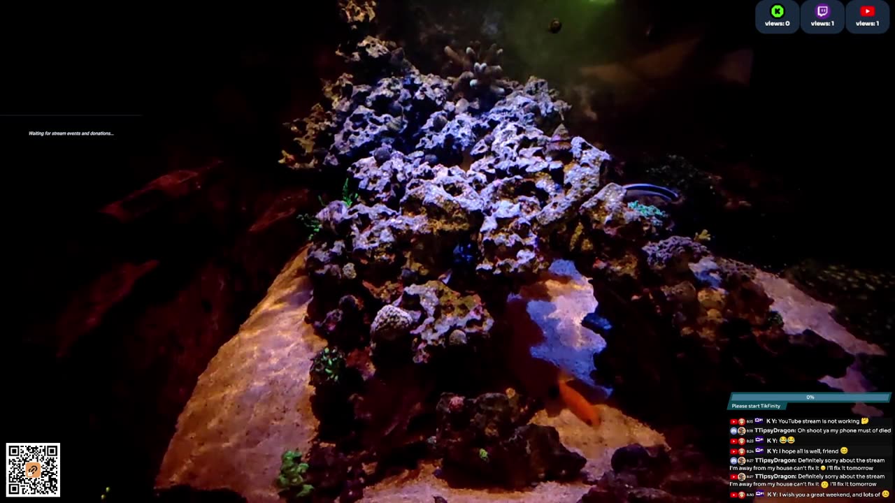 24/7 Real Live Reef Stream