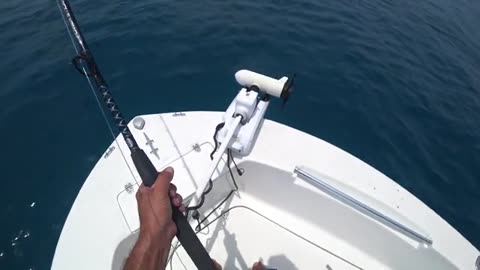pesca a pesci grossi 1k o grande squalo martello_part18