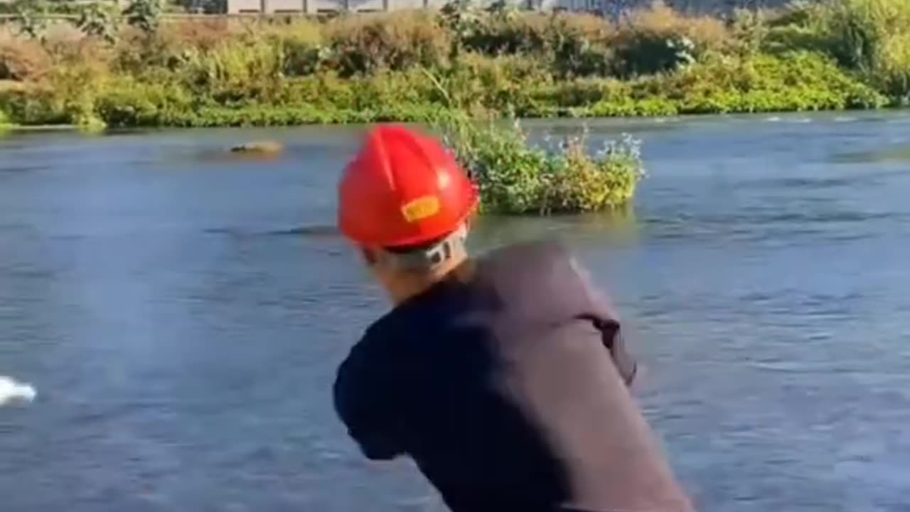 MUST SEE THIS