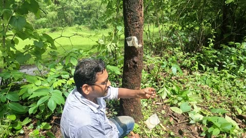 30 varsh junya zadala Kalam bandhaychi paddat
