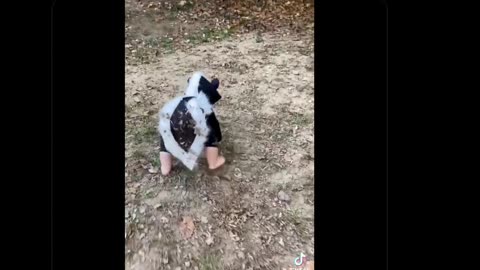 Timeline Cleanse • by DP • 10-31-2025