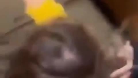 Gang of savages attack White girl