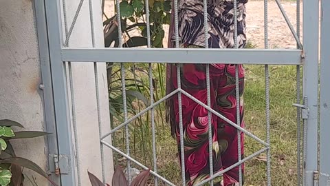 Owner of my rental house