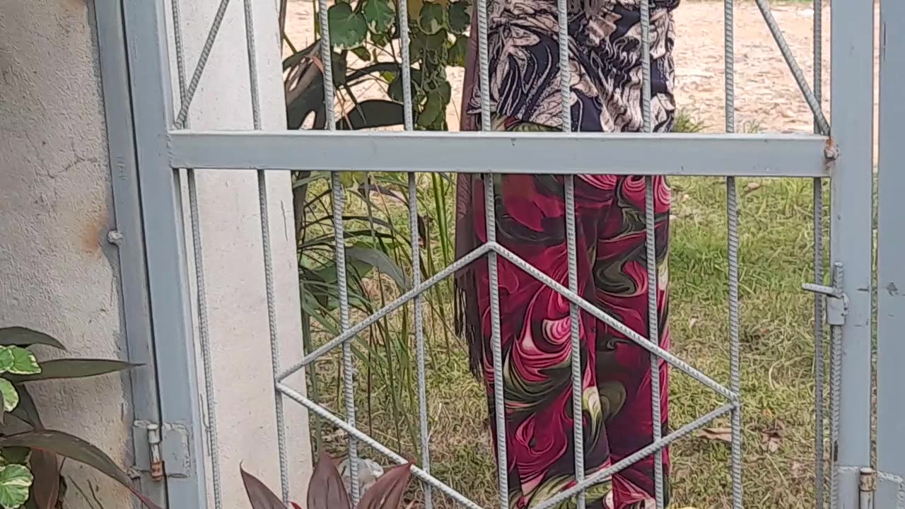 Owner of my rental house