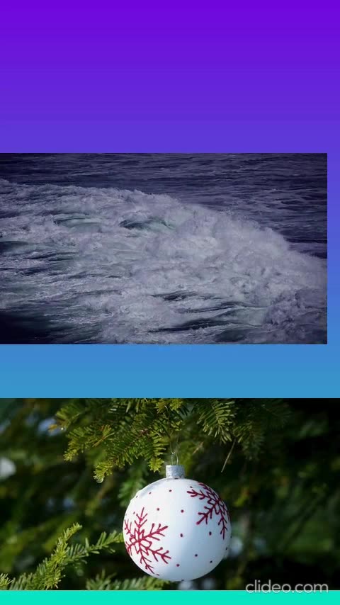 jogo bicho premiado.mp4