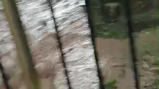 Vecinos de Paraíso 2, en Daniel Lemaitre, recogen fondos para pavimentar calle