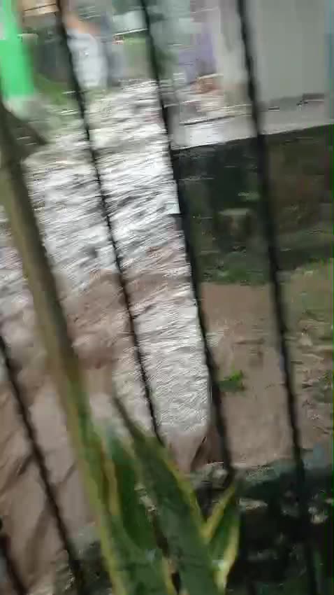 Vecinos de Paraíso 2, en Daniel Lemaitre, recogen fondos para pavimentar calle