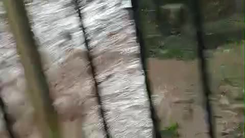 Vecinos de Paraíso 2, en Daniel Lemaitre, recogen fondos para pavimentar calle