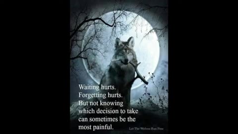 wolf slumbers of moon Black Pilled Live Stream(12)