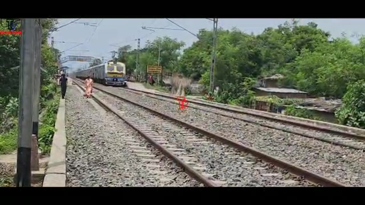 A goat across the train line