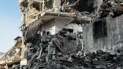 Theo Von Speaks On The Israeli Bombardment of Palestinians In Gaza