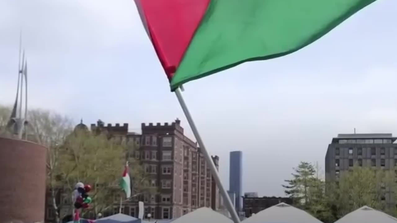 Trump Defunds Elites—Harvard, NPR, PBS Hit Hard