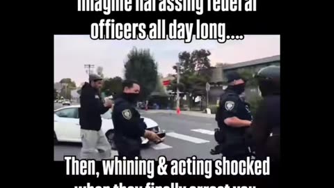 Are They as Dumb as they appear to be?