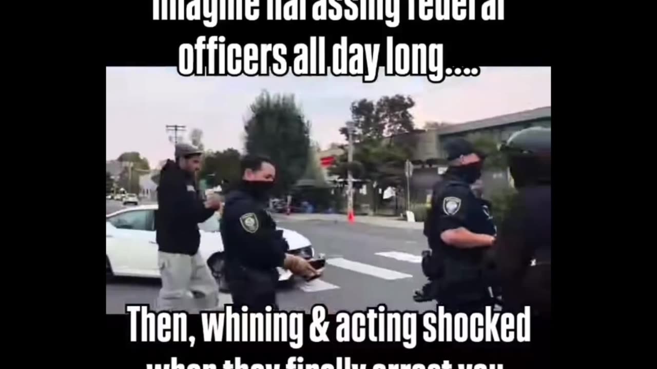 Are They as Dumb as they appear to be?