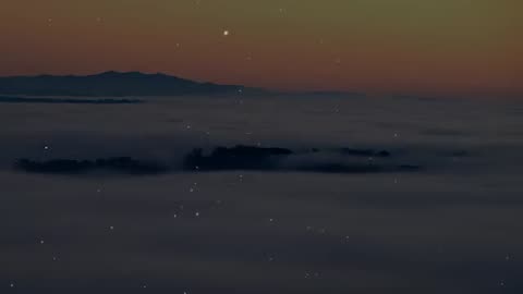 The Weeknd - Save Your Tears (Lyrics)