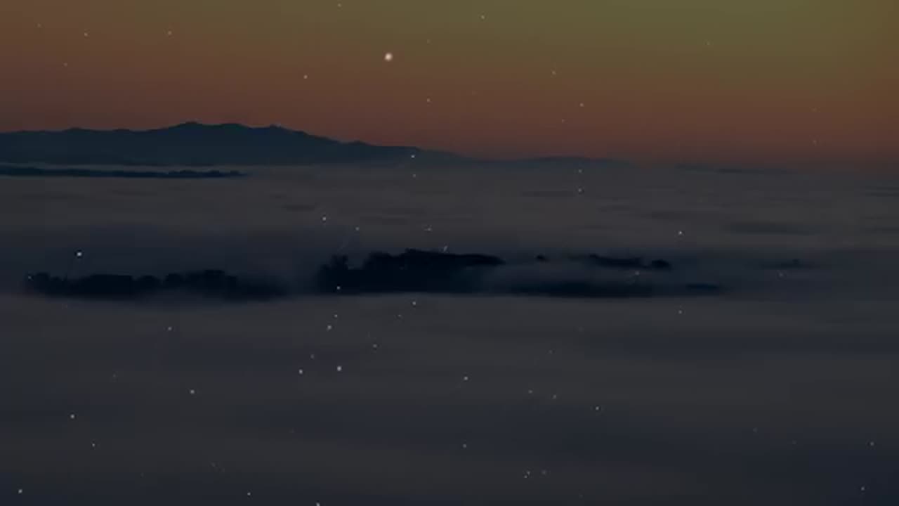 The Weeknd - Save Your Tears (Lyrics)