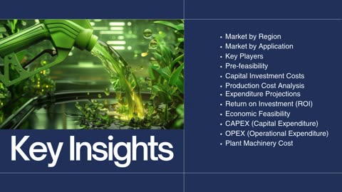 Biodiesel Manufacturing Plant Project Report
