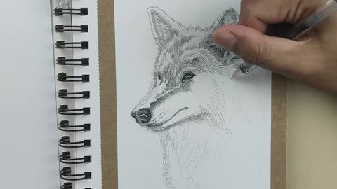 Direwolf Fineliner Drawing