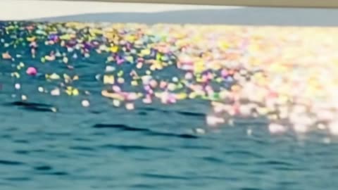 WAV - Yacht Shit Hit