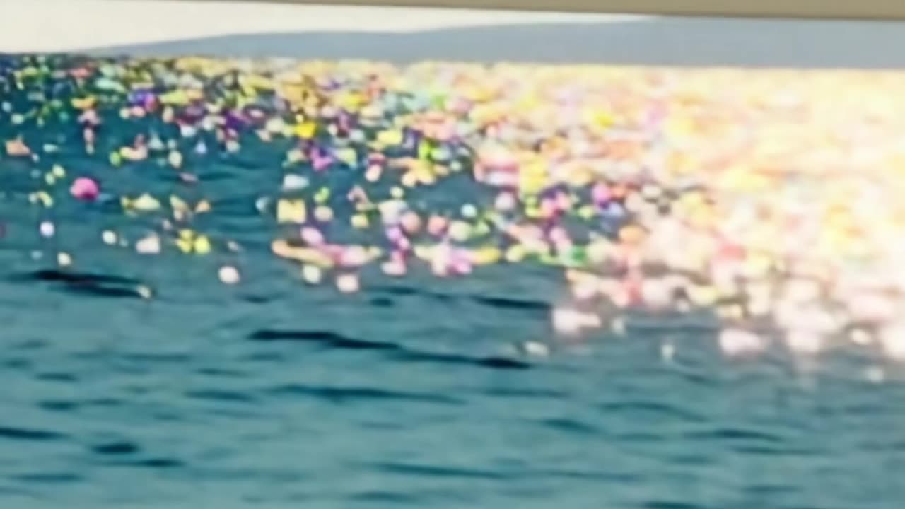 WAV - Yacht Shit Hit