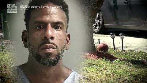 COURT CAM 39 lektor pl