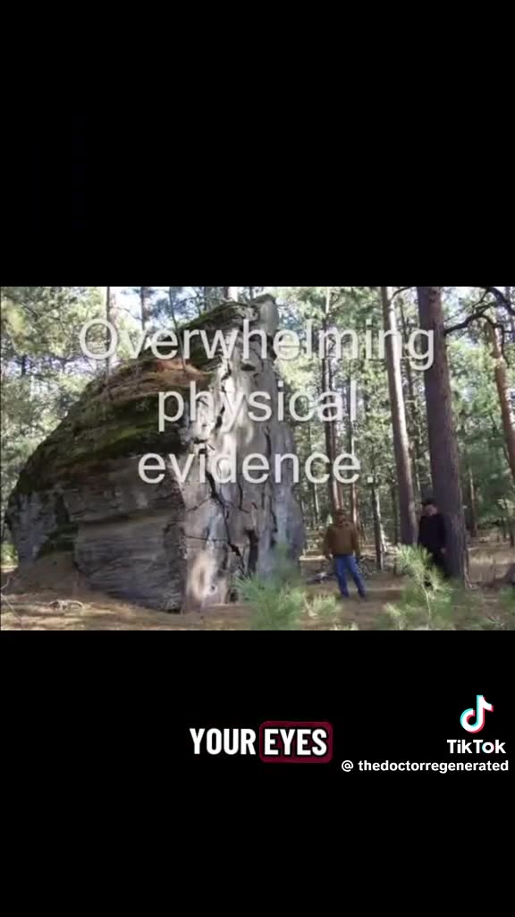 WE ARE THE ANTS LIVING IN THE SHADOWS OF A MUCH LARGER PAST