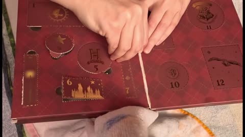 Profusion Cosmetics Harry Potter count down calendar door #7