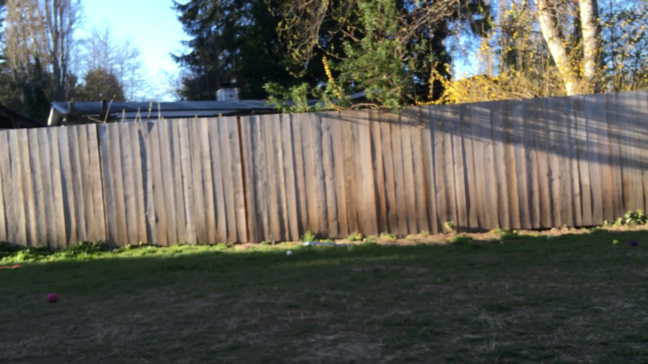 Backyard Wrastlin 32908234980324098