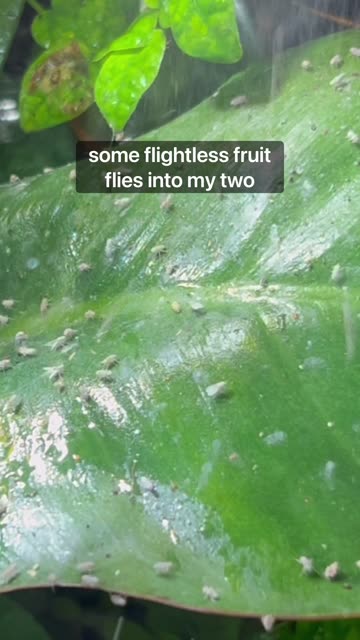 Best Part Of My Morning!